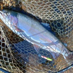 エキスパートエリアで大物狩り ～平谷湖フィッシングスポット～